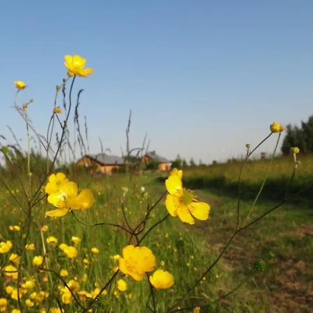 Na Fali 홈스테이 *